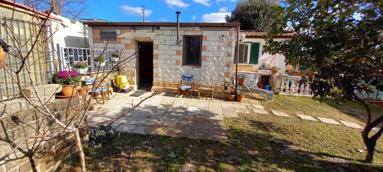 Flower House شيفيتافيكْيا المظهر الخارجي الصورة
