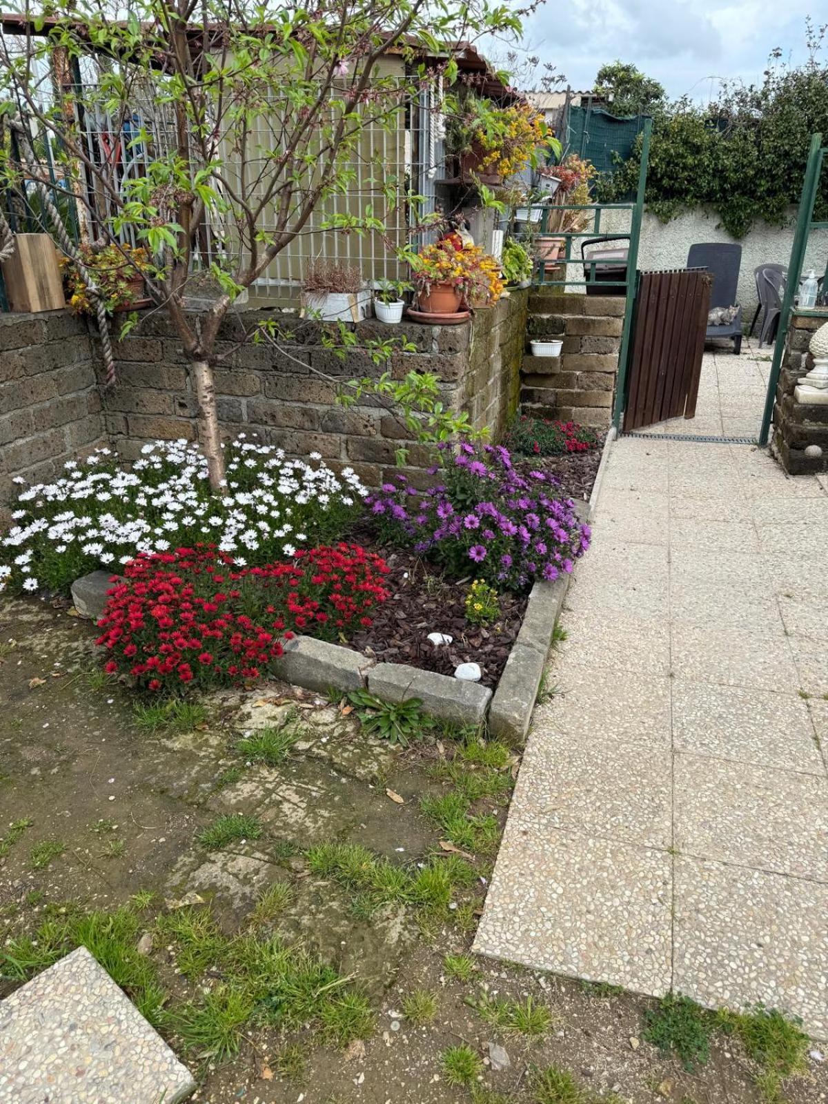 Flower House شيفيتافيكْيا المظهر الخارجي الصورة